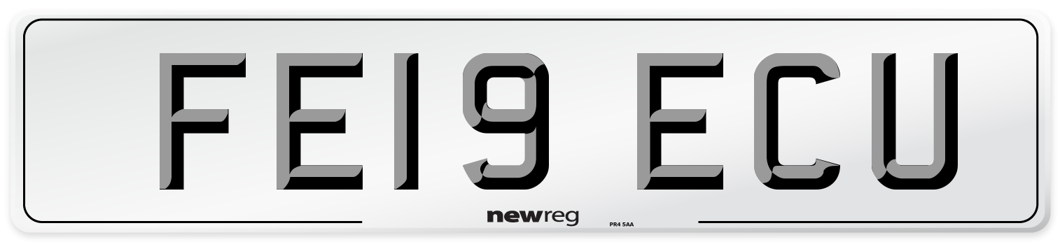 FE19 ECU Number Plate from New Reg